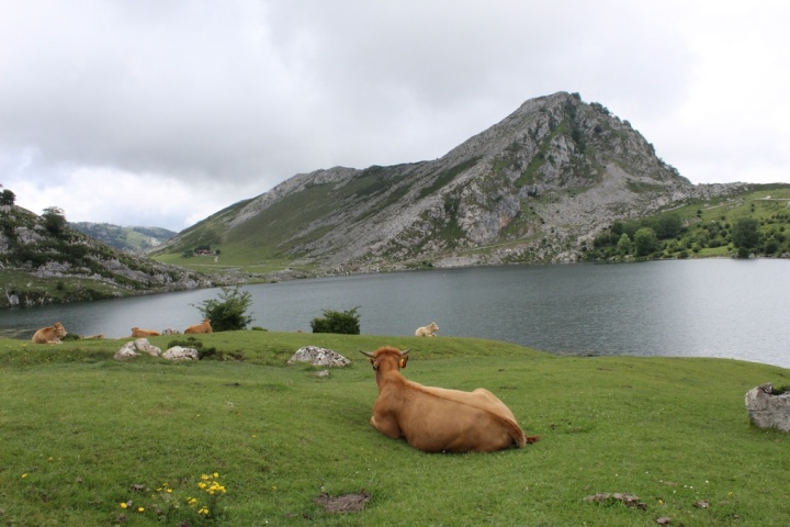 lagos-covadonga_asturias_espana_IMG_1999